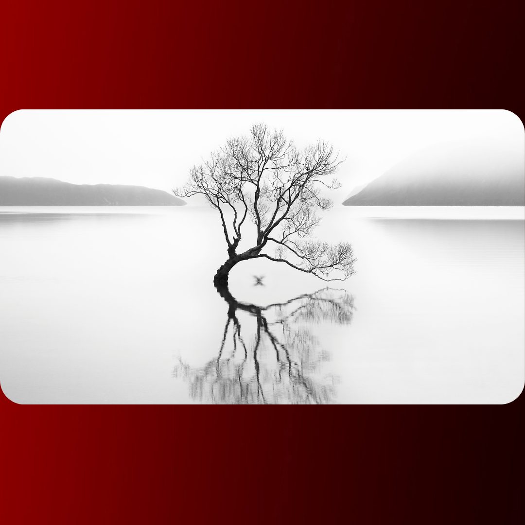 Conecta-Reflexoes-1